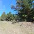  Land for sale in La Costa Buenos Aires, La Costa