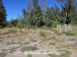  Terreno (Parcela) en venta en Neuquen, Los Lagos, Neuquen