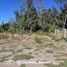  Land for sale in Los Lagos, Neuquen, Los Lagos, Neuquen
