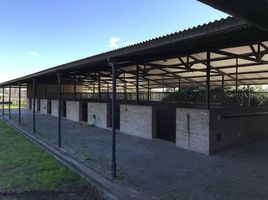 3 Habitación Casa en alquiler en Pilar, Buenos Aires, Pilar