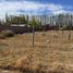  Land for sale in Confluencia, Neuquen, Confluencia