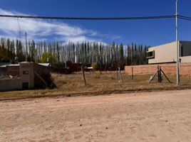  Land for sale in Confluencia, Neuquen, Confluencia