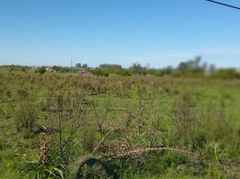  Land for sale in Colon, Entre Rios, Colon