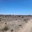  Land for sale in Confluencia, Neuquen, Confluencia