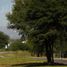  Land for sale in Capital, Cordoba, Capital