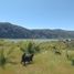  Grundstück zu verkaufen in Cushamen, Chubut, Cushamen, Chubut