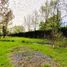  Land for sale in Chile, Chillan, Diguillin, Nuble, Chile