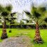  Land for sale in Chile, Chillan, Diguillin, Nuble, Chile