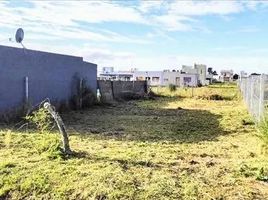 在阿根廷出售的 土地, La Plata, Buenos Aires, 阿根廷