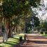 Land for sale in Atlixco, Puebla, Atlixco, Puebla