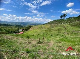  Terreno (Parcela) en venta en Ulloa, Valle Del Cauca, Ulloa