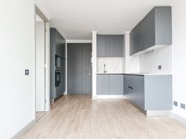 1 Bedroom Condo for rent in Chile, Santiago, Santiago, Santiago, Chile
