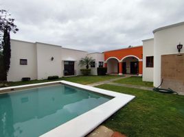 3 chambre Maison for rent in Merida, Yucatan, Merida