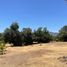  Terreno (Parcela) en venta en Maipo, Santiago, Paine, Maipo