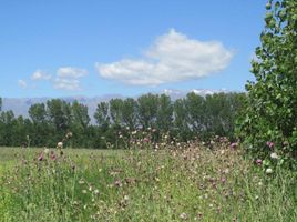  Terrain for sale in San Carlos, Mendoza, San Carlos