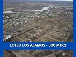  Land for sale in Confluencia, Neuquen, Confluencia