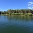  Land for sale in Chile, Quilago, Biobío, Biobío, Chile