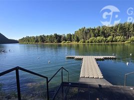  Land for sale in Chile, Quilago, Biobío, Biobío, Chile