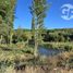  Terreno (Parcela) en venta en Biobío, Quillego, Biobío, Biobío