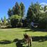  Land for sale in Chile, Quillego, Biobío, Biobío, Chile