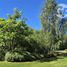  Land for sale in Chile, Quillego, Biobío, Biobío, Chile