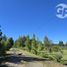  Land for sale in Chile, Quillego, Biobío, Biobío, Chile