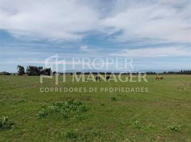  Terreno (Parcela) en venta en Chile, Chillan, Diguillín, Ñuble, Chile