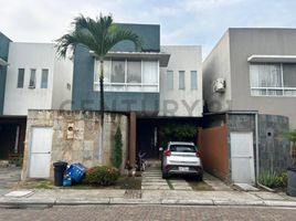 3 Bedroom House for sale in Daule, Guayas, Daule, Daule