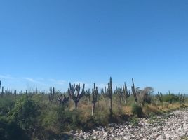 Terrain à vendre à La Paz, Baja California Sur, La Paz