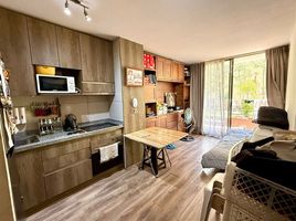 1 Bedroom Apartment for rent in Cordillera, Santiago, Puente Alto, Cordillera