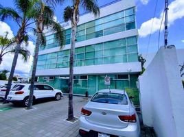 11 m² Office for rent in Queretaro, Queretaro, Queretaro