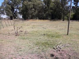  Terrain for sale in Olavarria, Buenos Aires, Olavarria