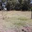  Land for sale in Olavarria, Buenos Aires, Olavarria