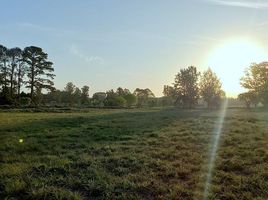  Land for sale in Exaltacion De La Cruz, Buenos Aires, Exaltacion De La Cruz