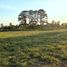  Land for sale in Exaltacion De La Cruz, Buenos Aires, Exaltacion De La Cruz