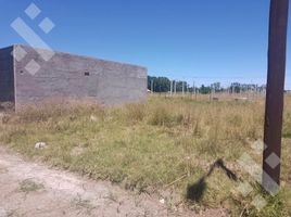  Land for sale in Confluencia, Neuquen, Confluencia