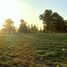  Land for sale in Exaltacion De La Cruz, Buenos Aires, Exaltacion De La Cruz