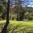  Land for sale in Rio Negro, Bariloche, Rio Negro