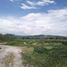  Land for sale in Doctor Arroyo, Nuevo Leon, Doctor Arroyo