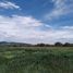  Land for sale in Doctor Arroyo, Nuevo Leon, Doctor Arroyo