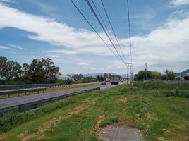  Land for sale in Doctor Arroyo, Nuevo Leon, Doctor Arroyo