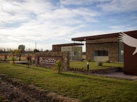  Grundstück zu verkaufen in San Rafael, Mendoza, San Rafael