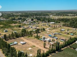  Land for sale in Confluencia, Neuquen, Confluencia