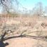 4 chambre Quinta for sale in FazWaz.fr, Los Ramones, Nuevo Leon, Mexique