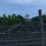  Land for sale in Montemorelos, Nuevo Leon, Montemorelos