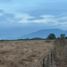  Land for sale in Montemorelos, Nuevo Leon, Montemorelos