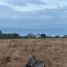  Land for sale in Montemorelos, Nuevo Leon, Montemorelos