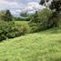  Land for sale in Tamesis, Antioquia, Tamesis