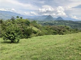  Terrain for sale in Tamesis, Antioquia, Tamesis