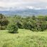  Terrain for sale in Tamesis, Antioquia, Tamesis